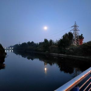 Anyway, this is love