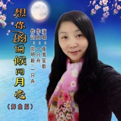 想你的时候问月亮 (舞曲)