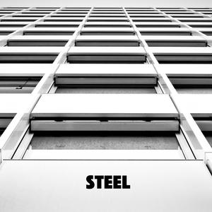 Steel