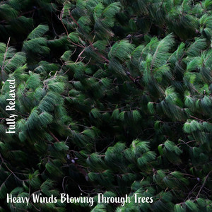 Heavy Winds Blowing Through Trees, Pt. 19