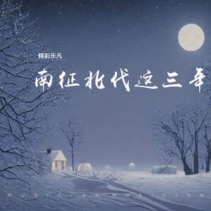 南征北伐这三年