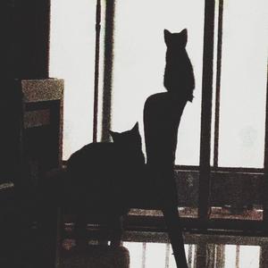 给你写一首不那么油腻的情歌（feat.艾xue）