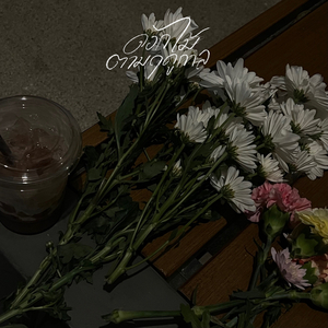 ดอกไม้ตามฤดูกาล