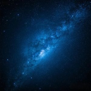 落花飞舞伴风扬