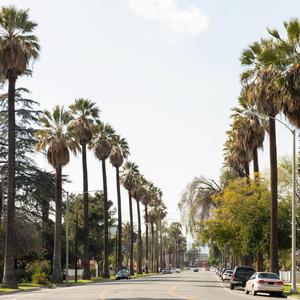 Bopper (feat. Tee-Witit & Amarii)