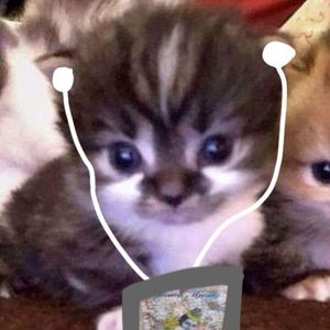 ｜90s 2000s 年代风格伴奏｜“再进一步”90s pluggnb type beat