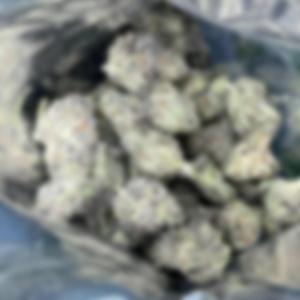 GG4 (feat. MovA Sayy & JuFroze)