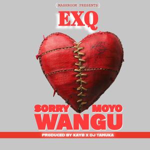 SORRY MOYO WANGU