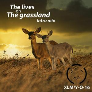 The lives on The grassland（Intro mix）