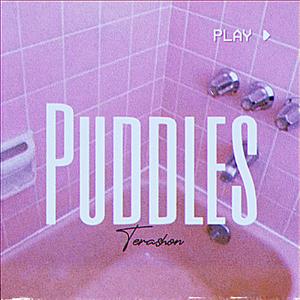 PUDDLES