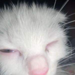 Breakin' Dishes (slowed)