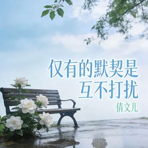 仅有的默契是互不打扰