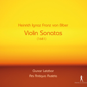 Violin Sonata No. 5 in E Minor, C. 142: I. —