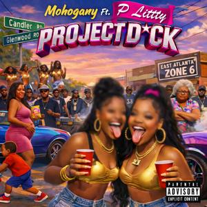 Project D (feat. P Littty)
