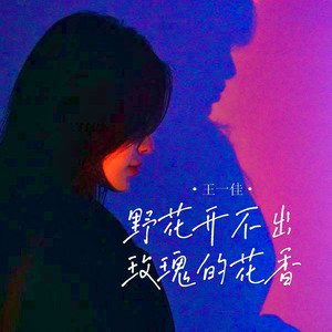 野花开不出玫瑰的花香 (伴奏)