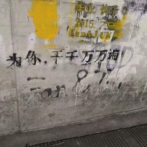 桃花依旧笑春风