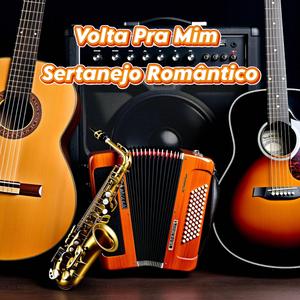 Volta Pra Mim - Sertanejo Romântico