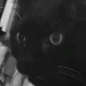 Corpse (feat. glorygasp)