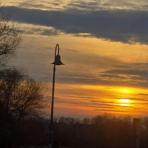 Kein Krieg in meinem Namen