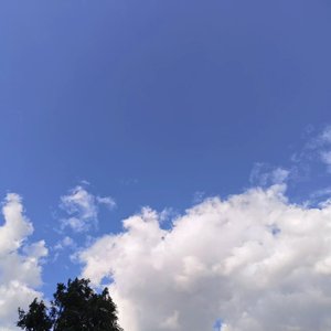 再听一次你的告白