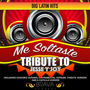 Me Soltaste (Tribute To Jesse & Joy) (Tribute)