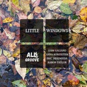 Little Windows (feat. Liam Galiano, Anna Kerstetter, Eric DeAlmeida & Aaron Taylor)