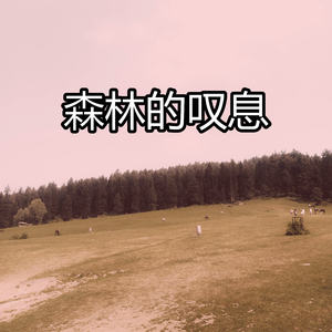 森林的叹息