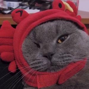 眼泪就当作给恋爱交的学费吧