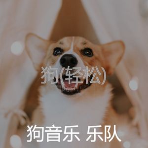 睡觉的小狗(优秀的)