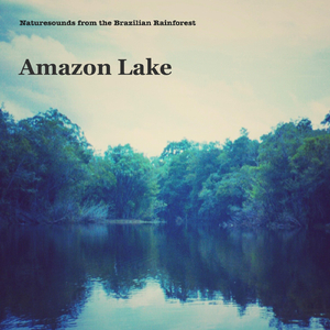 Amazon Lake 4