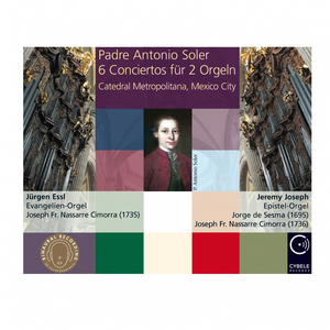 Concierto Nr. 2 in a-Moll: 1. Andante. Allegro (Andante)