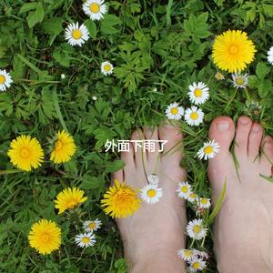 Trio Jazz Soundtrack for Rainy Creative Moments