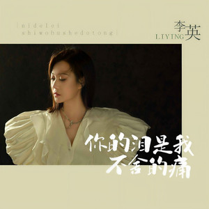 你的泪是我不舍的痛 (DJ默涵版)