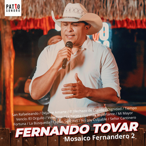 Mosaico Fernandero 2