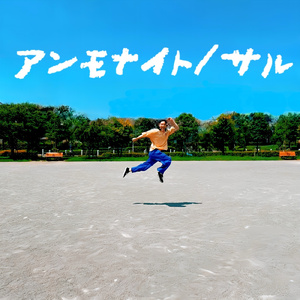 アンモナイト