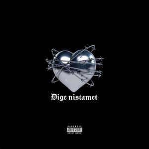Dige Nistamet