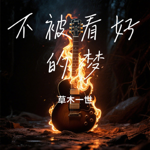 不被看好的梦