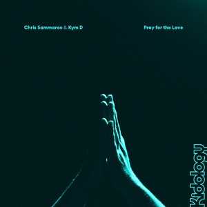 Pray For The Love (Mark Wilkinson Project X mix)