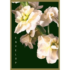 Gaia’s Nourishment at 396 Hz