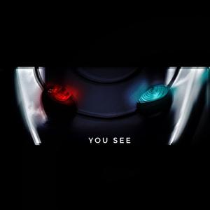 你看（Freestyle）