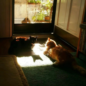 这个秘密我现在就告诉你们