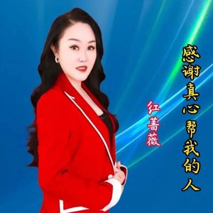 红蔷薇 - 感谢真心帮我的人