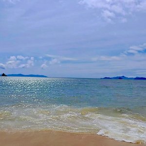 眼泪里的说