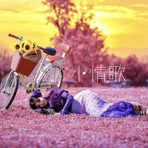 小情歌