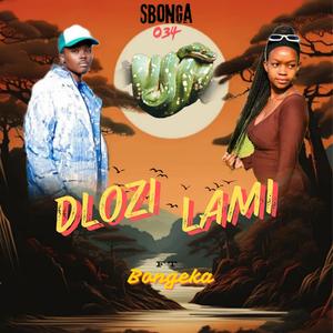 Dlozi Lami (feat. Bongeka N)