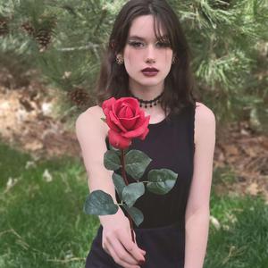 roses (instrumental)