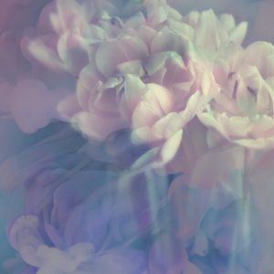 꿈에 취한 밤 (피아노자장가)