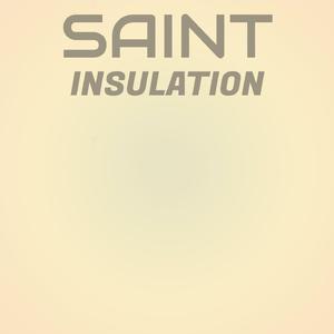 Saint Insulation