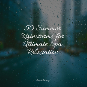 Rainy Woodland Ambience