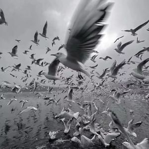 告别总是在冬季（合集）